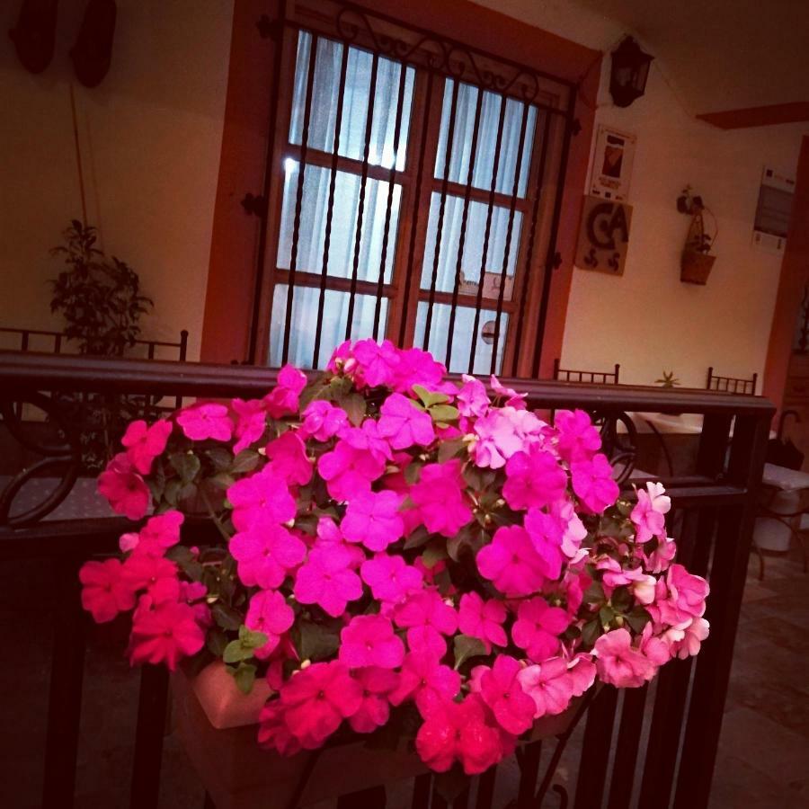 Casa De Aldea La Pescal ξενώνας Εξωτερικό φωτογραφία